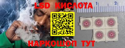 стаф Новодвинск