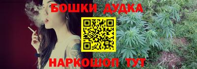 индика Новокубанск