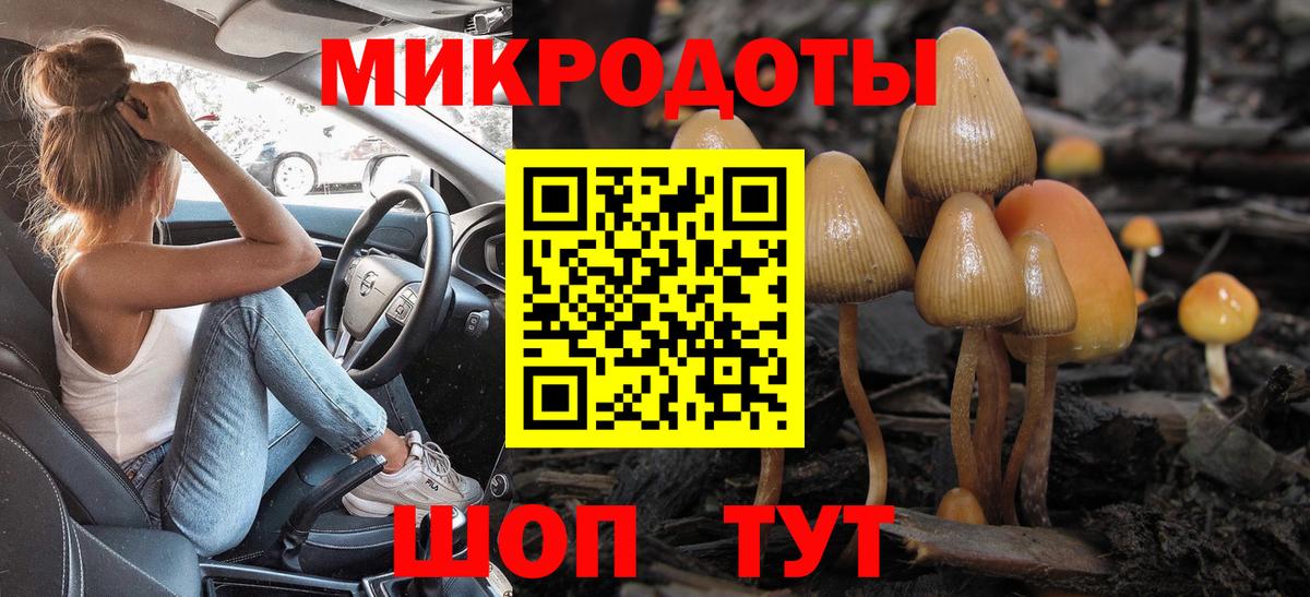 Сальск  Псилоцибиновые грибы MAGIC MUSHROOMS  Вход с VPN 